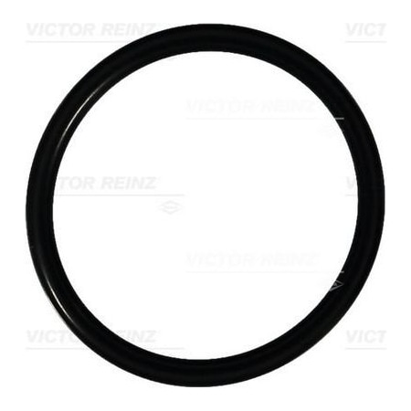 Reinz Oring Coolant Flange, 40-76097-00 40-76097-00